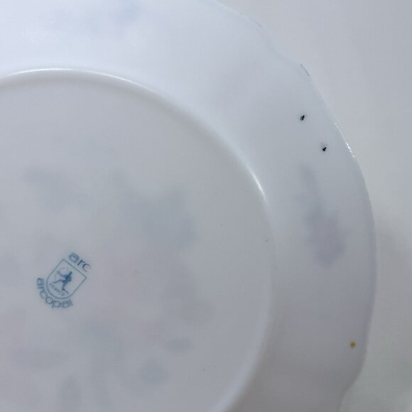 Vintage Arcopal France Provincial Dinner Plate 10” Flower Spring Summer Garden - Picture 7 of 12